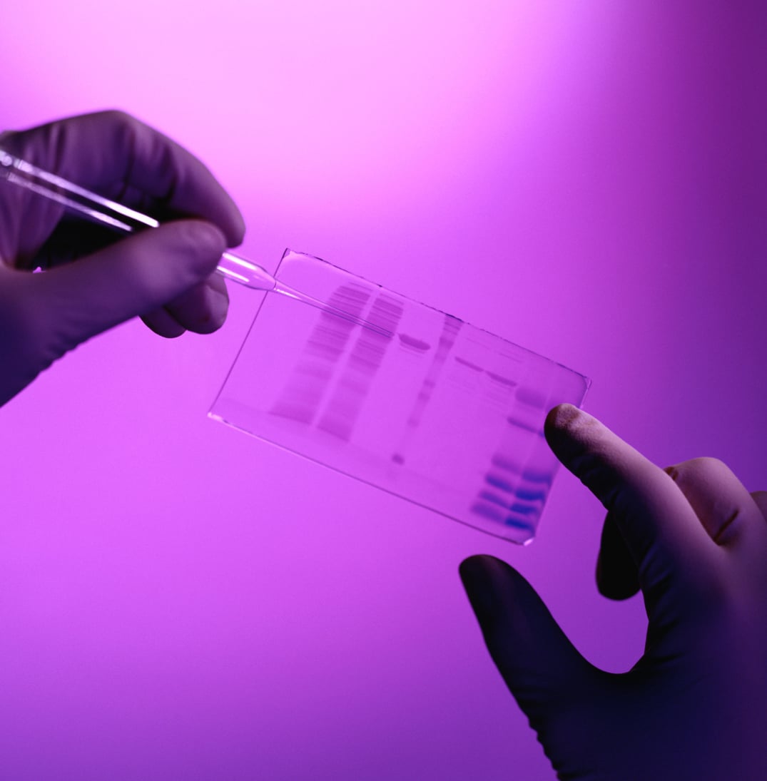Excelitas has expertise in DNA Sequencing