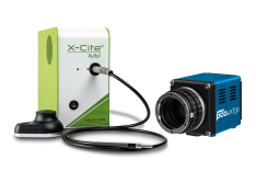 X-Cite XYLIS™ II and pco.edge 4.2 LT USB Bundle