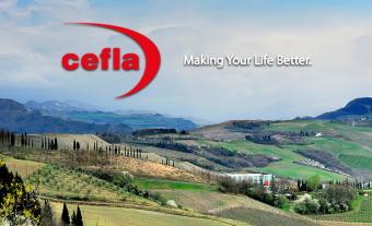 Cefla Live 2026