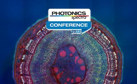 How Camera Pixel Size and Modulation Transfer Function Affect Modern Microscopy Presentation