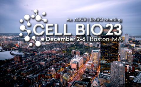 Cell Bio 2023
