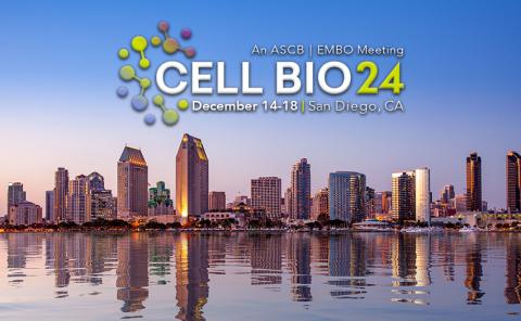 Cell Bio 2024