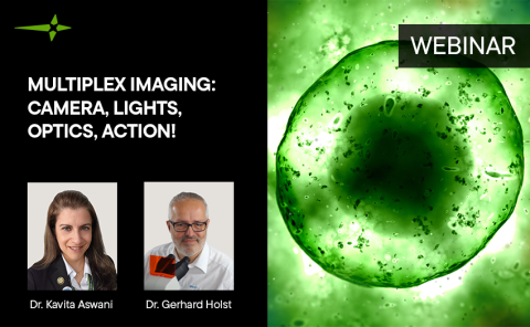Multiplex Imaging