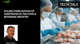 Pulsed Sterilization of Substrates in the Food and Beverage Industry